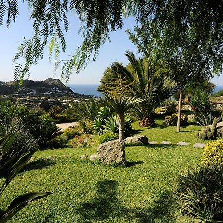 Casa Ischitana Lägenhet Forio di Ischia Exteriör bild