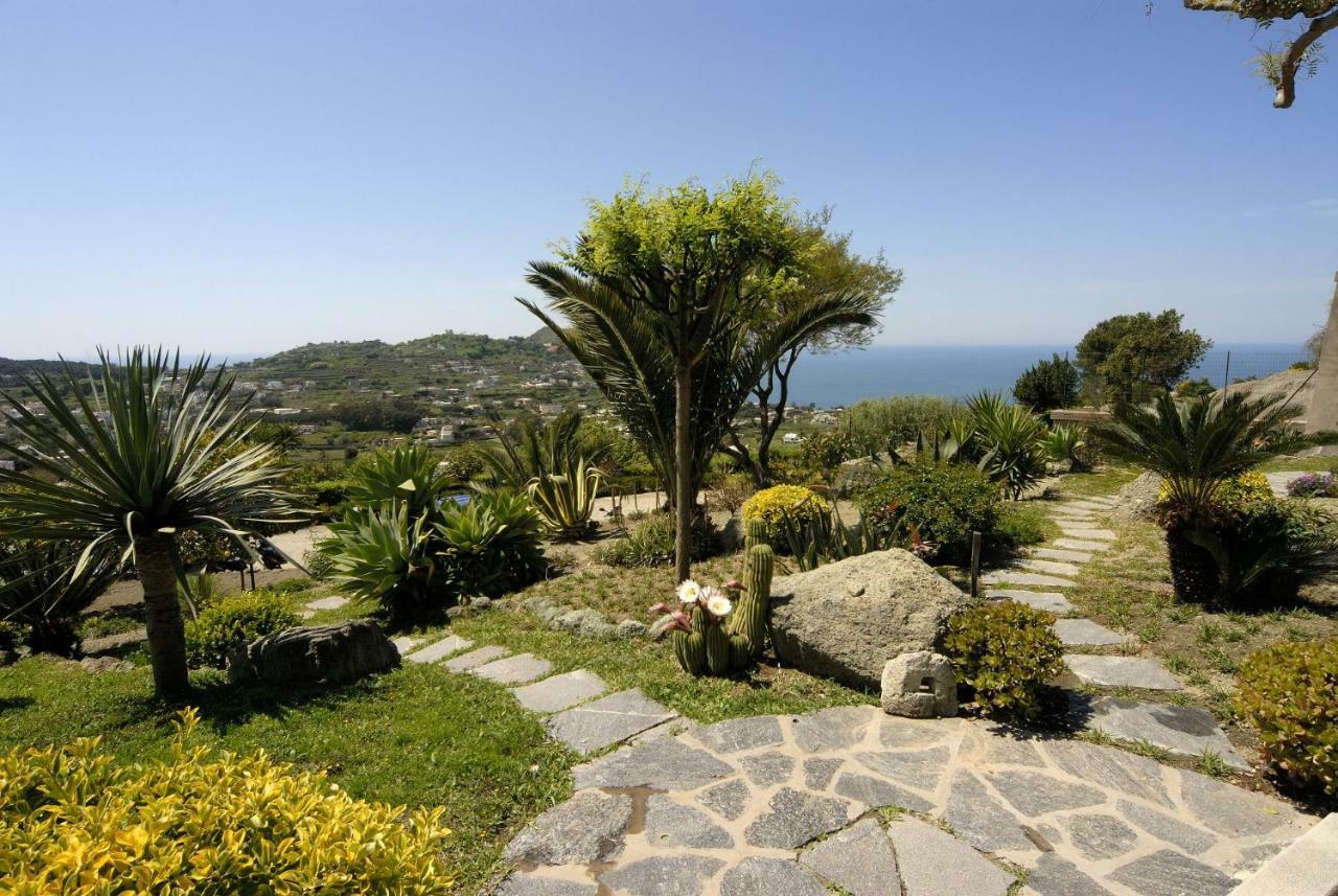 Casa Ischitana Lägenhet Forio di Ischia Exteriör bild