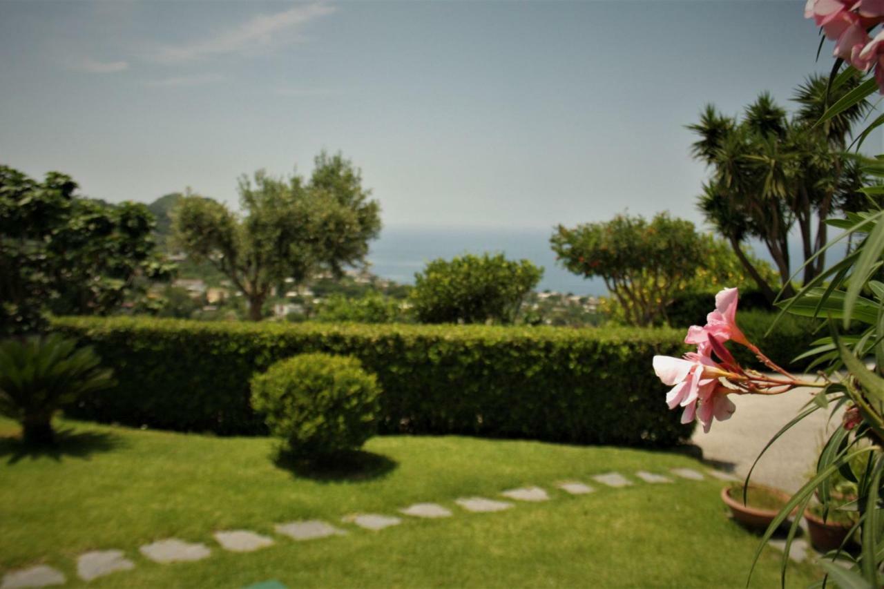 Casa Ischitana Lägenhet Forio di Ischia Exteriör bild