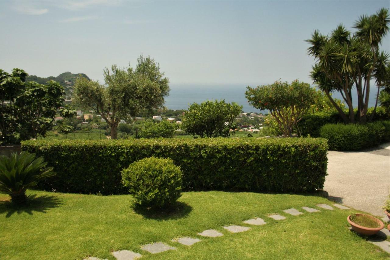 Casa Ischitana Lägenhet Forio di Ischia Exteriör bild